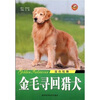 

金色炫舞金毛寻回猎犬