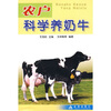

农户科学养奶牛