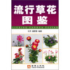 

流行草花图鉴