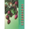 

芒果病虫害看图防治