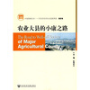 

农业大县的小康之路（附光盘）