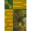 

新世纪高等艺术教材：色彩