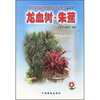 

龙血树·朱蕉