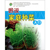 

图说家庭种菜入门