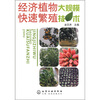 

经济植物大规模快速繁殖技术