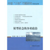 

转型社会的乡村政治