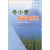 

冬小麦旺长及防控