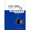 

天然气燃烧与节能环保新技术