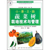 

蔬菜树栽培技术与管理