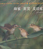 

麻雀 百灵 文须雀