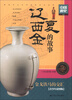

中国通史系列：辽·西夏·金的故事（青少年彩图版）