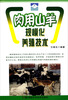 

肉用山羊规模化养殖技术