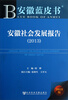 

安徽社会发展报告（2013）