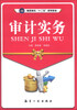 

审计实务