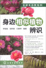 

身边相似植物辨识
