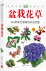 

自然珍藏图鉴丛书：盆栽花草