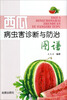 

西瓜病虫害诊断与防治图谱