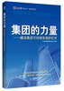 

管理文库·集团管理系列集团的力量·撬动集团可持续发展的杠杆