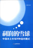 

利润的雪球中国本土市场30种盈利模式