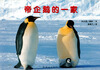 

蒲蒲兰绘本馆·亲子摄影绘本：帝企鹅的一家