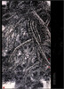 

中国近现代名家画集：辛守庆
