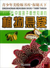 

青少年美绘版书库·探秘天下：中国孩子最想知道的植物悬疑