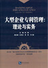 

大型企业专利管理：理论与实务
