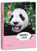 

熊猫博士小豆豆
