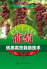 

葡萄优质高效栽培技术