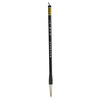 

WuJinsheng brush pen