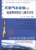 

非常规能源之天然气水合物系列：天然气水合物的地球物理特征与测井评价
