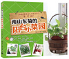 

南山东菊的阳台小菜园