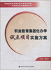 

职业教育集团化办学试点项目实施方案
