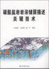 

碳酸盐岩岩溶储层描述关键技术