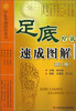 

中医实用技术丛书：足底疗法速成图解（第2版）