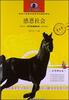 

新黑马阅读：感恩社会（名师解读版）