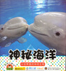 

宝宝蛋·宝宝小画书神秘海洋