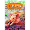 

名家动物文学典藏书系：白色野猪