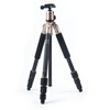 

Fotopro C-4C + + (G) Carbon Professional Tripod Gold