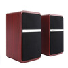 

EARISE AL-107 Laptop /Computer/PC mini USB speakers/ voice box