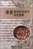 

滑菇栽培实用技术彩色图解