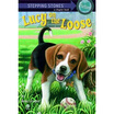 

Lucy on the Loose