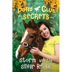 Storm&the Silver Bridle Pony Club Secrets Numbered