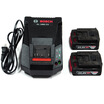 

Bosch BOSCH 2 electric 1 charge set 144V20Ah 1600A001AE