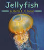 

Jellyfish Ocean Life