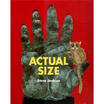 Actual Size Bccb Blue Ribbon Nonfiction Book Award Awards