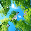 Colomac High Quality Custom Mural Wallpaper Green Forest Sky Pigeon Ceiling Zenith Living Room Background Wall colomac kopen in de aanbieding Colomac High Quality Custom Mural Wallpaper Green Forest Sky Pigeon Ceiling Zenith Living Room Background Wall colomac kopen in de aanbieding