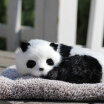 Joy Collection Cheung Figure Car Ornaments Simulation Doll Catsdogs Active Bamboo Charcoal Package In Addition To Odor Removal Of Formaldehyde Air Purification Nano Mine Crystal Panda joy collection kopen in de aanbieding Joy Collection Cheung Figure Car Ornaments Simulation Doll Catsdogs Active Bamboo Charcoal Package In Addition To Odor Removal Of Formaldehyde Air Purification Nano Mine Crystal Panda joy collection kopen in de aanbieding