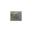 20Pcs Monolithic Capacitors 105 1Uf huismerk kopen in de aanbieding