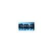 20PCS IRLR2905TRPBF IRLR2905TR IRLR2905 IRLR2905 TO-252 IC